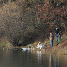 k-IMG_7954.JPG