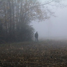 k-IMG_8935.jpg