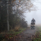 k-IMG_8959.jpg