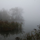 k-IMG_8989.JPG