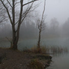 k-IMG_9088.JPG