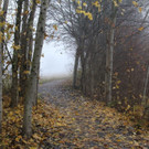 k-IMG_9207.JPG