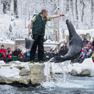 Kinderprogramm an Adventsonntagen im Tiergarten Schönbrunn