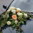 DSC00181.JPG
