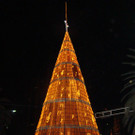 Mexiko-Stadt _cc-Lizenz flickr_com Fotograf toweliedell_.jpg