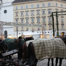 IMG_8239.JPG