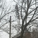 20141127_113653.jpg