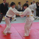 IMG_8811_JPG-1273321249