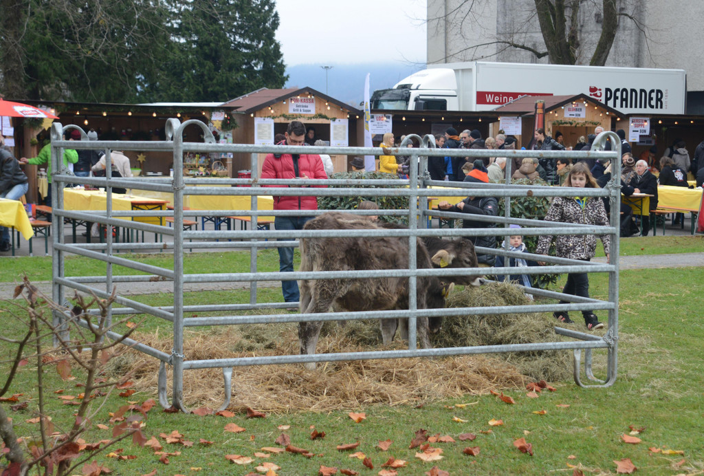 adventmarkt_mehrerau_4793.jpg