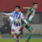 ABD0178-20141129.jpg