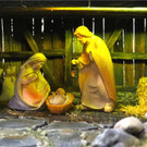 BK_Krippenausstellung_Krippenbauverein Fellengatter 19.JPG