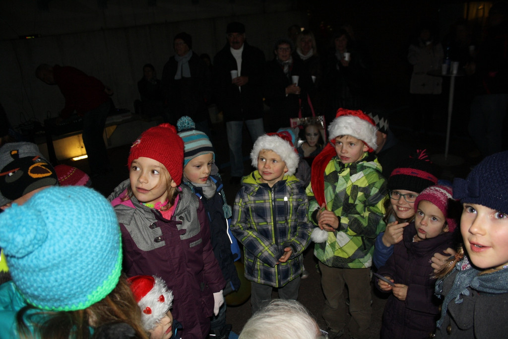 Adventzauber Weihnachtsbeleuchtung 2014 _18_.JPG