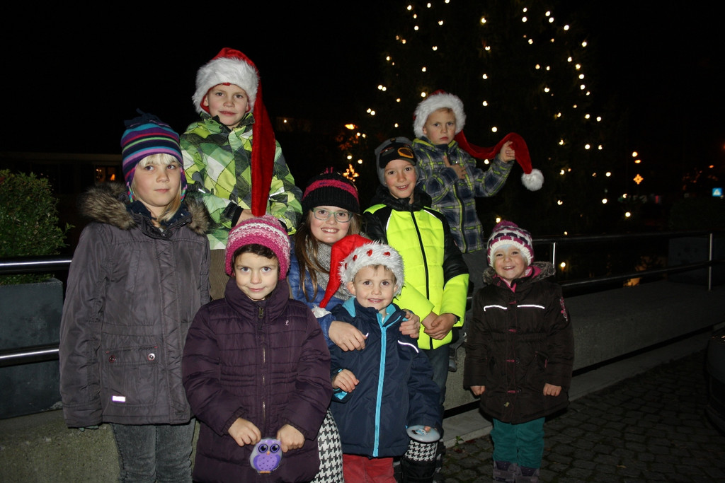 Adventzauber Weihnachtsbeleuchtung 2014 _5_.JPG