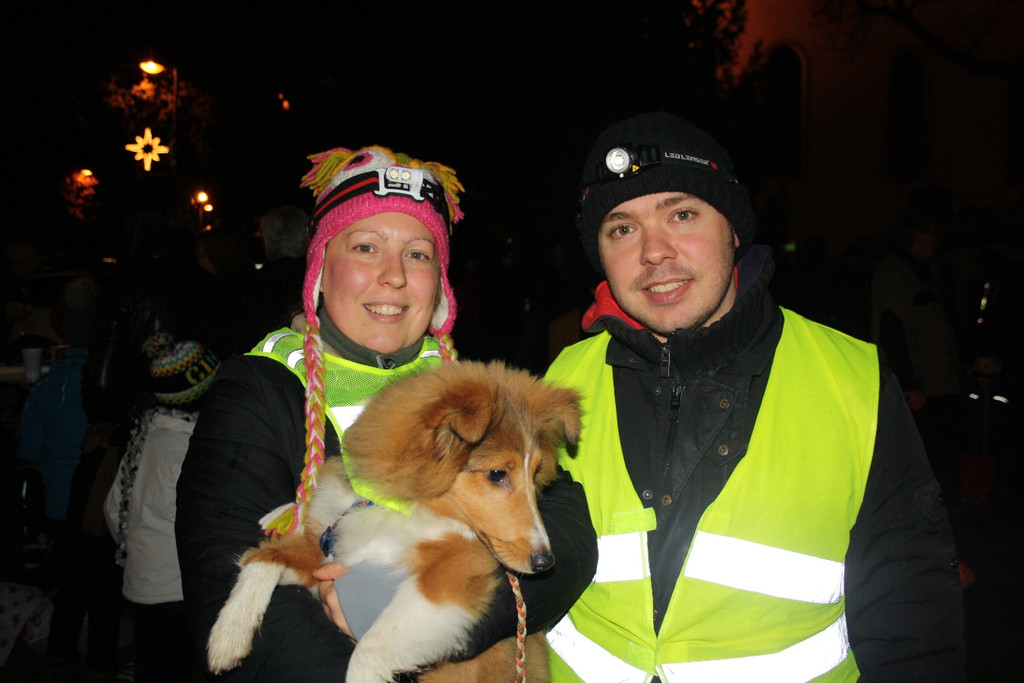 Adventzauber Weihnachtsbeleuchtung 2014 _13_.JPG