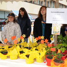 1 Abendmarkt H__chst 8_5_2010 65_jpg-1273348331