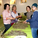 Auswahl f__r das Kr__uterkissen.JPG