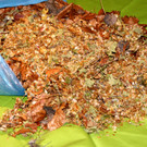 Hopfen vermischt mit Laub.JPG