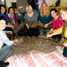 Kr__uterfrauen unter sich.JPG