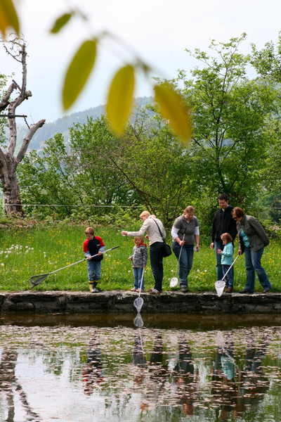 BK_weiher 5_jpg-1273351842