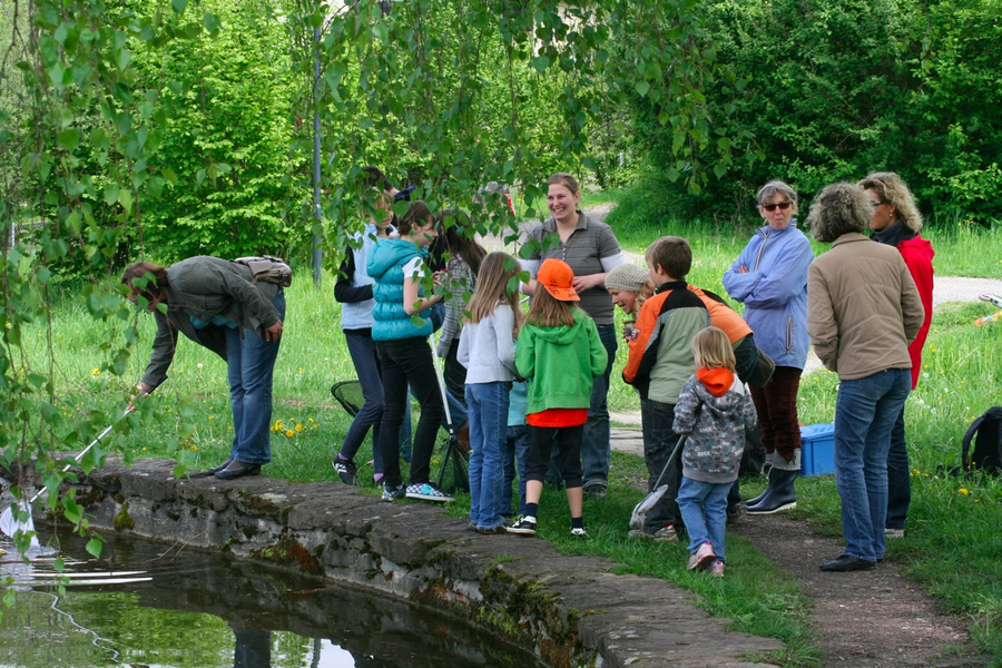 BK_weiher 17_jpg-1273351885