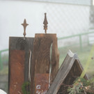 DSC07627.JPG