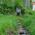 BK_weiher 32_jpg-1273351941