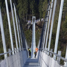 IBD0908-20141121.jpg