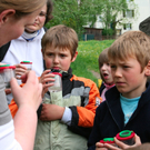 BK_weiher 40_jpg-1273351966