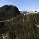 ABD0048-20141121.jpg