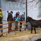 DSC_0142.JPG