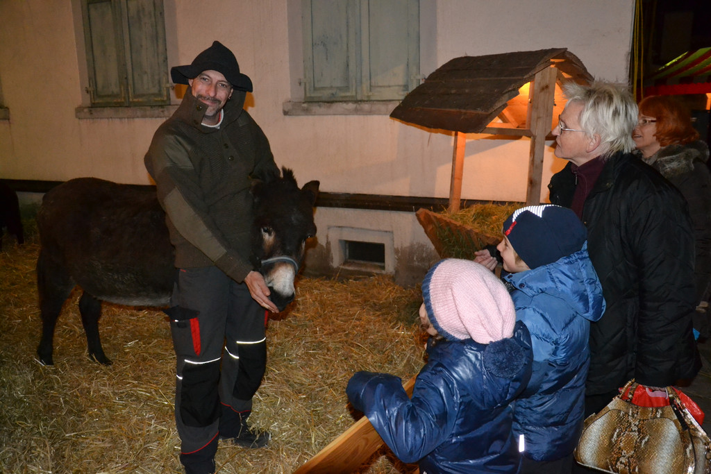 DSC_0077.JPG