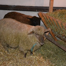 DSC_0076.JPG
