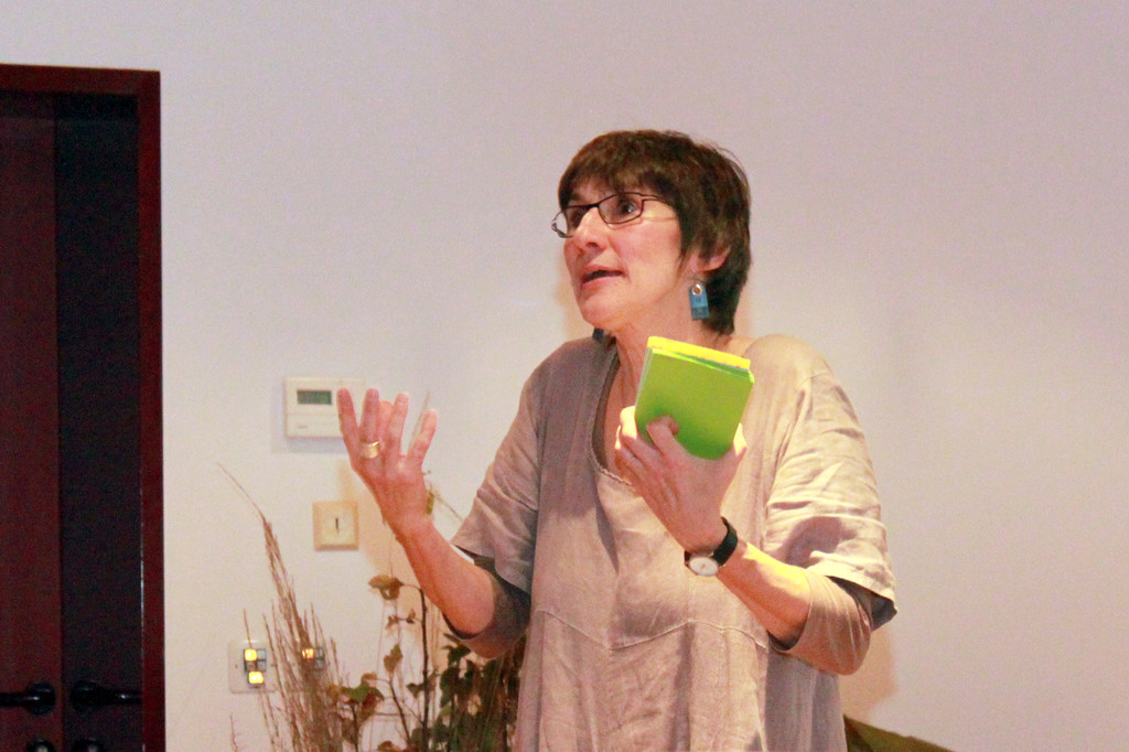 20141120_MotessoriVortrag_Hoechst1.jpg