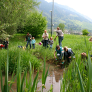 BK_weiher 50_jpg-1273352003
