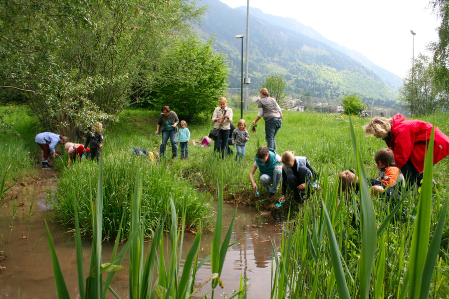 BK_weiher 50_jpg-1273352003