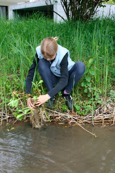 BK_weiher 53_jpg-1273352014