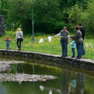 BK_weiher 6_jpg-1273352652