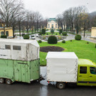 Giraffen im Tiergarten Schönbrunn sind in Übergangsquartier übersiedelt