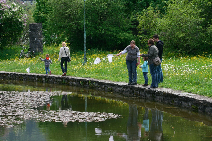 BK_weiher 6_jpg-1273352652