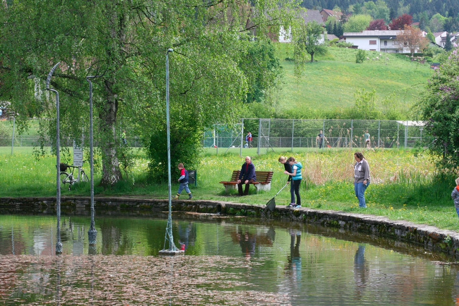 BK_weiher 7_jpg-1273352657