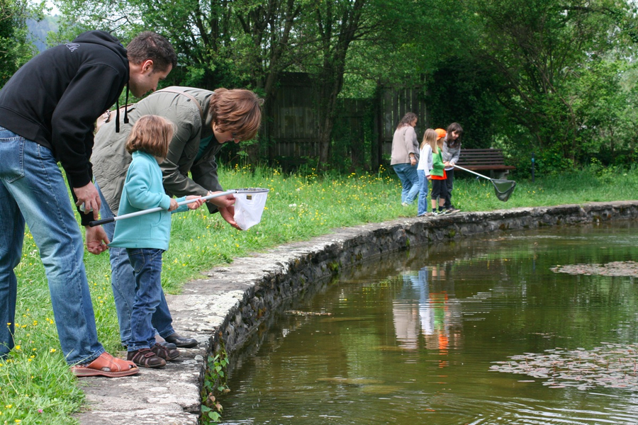 BK_weiher 11_jpg-1273352673