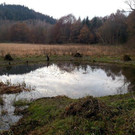 20141120_160309A.jpg