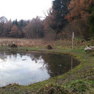 20141120_160321A.jpg