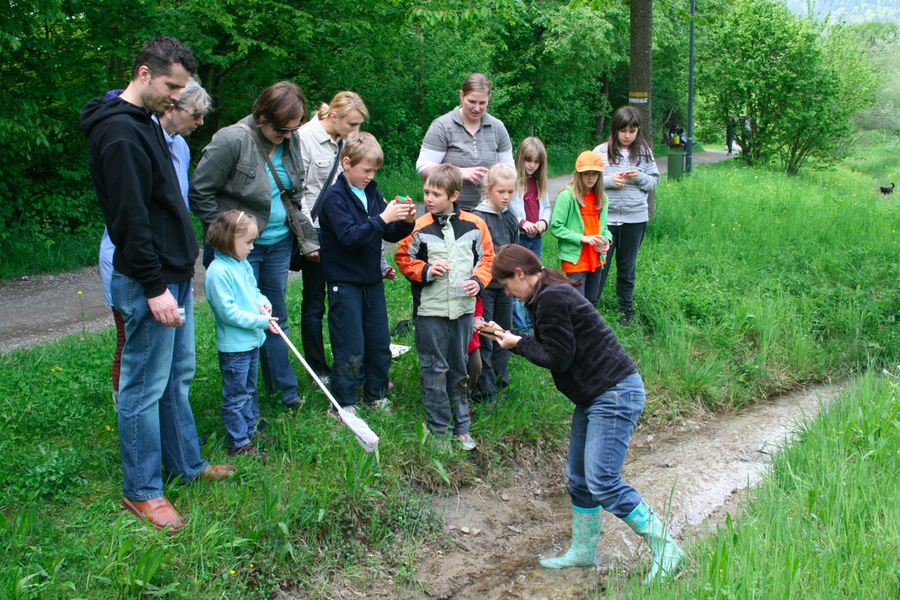 BK_weiher 24_jpg-1273352723