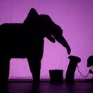 o_o_05_PILOBOLUS_Shadowland_Foto_Emmanuel-Donny.jpg