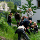 BK_weiher 33_jpg-1273352762