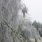 file6i62g0n78w9154hn9uw.jpg