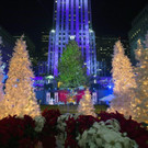 IBD0106-20141204.jpg