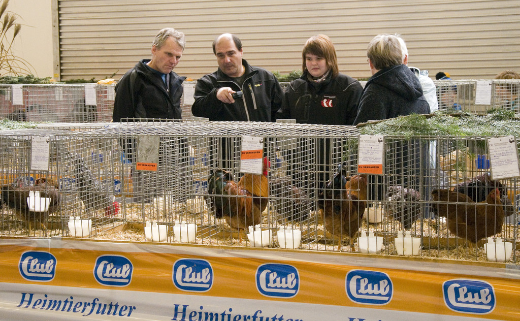 kleintierzucht landesschau_3.jpg