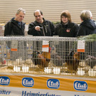 kleintierzucht landesschau_3.jpg